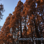 Season’s Greetings!